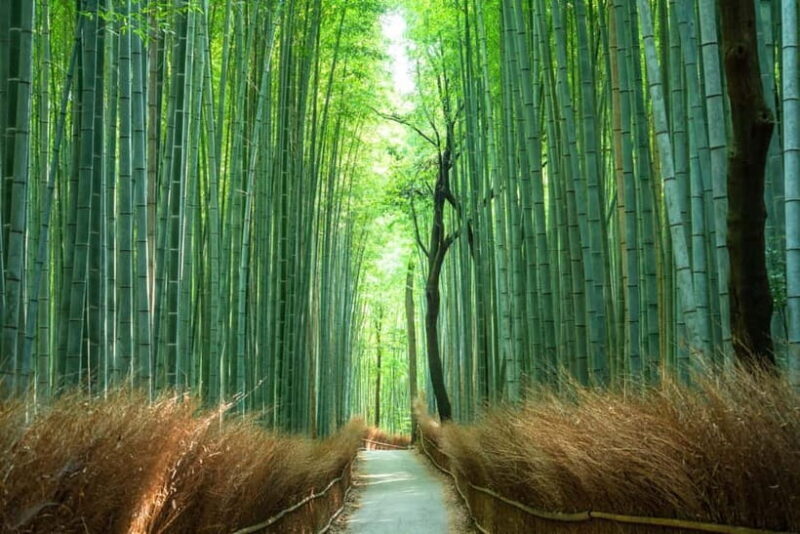 Arashiyama Highlights with Yuzen dyeing workshop - Key Points