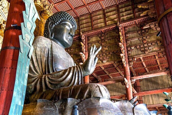 Arashiyama & Nara Highlights: One-Day Private Tour Adventure - A Practical Guide to the Tour Experience