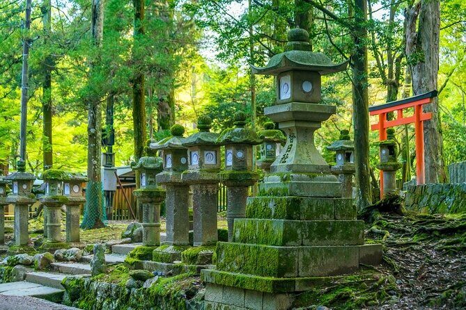 Arashiyama & Nara Highlights: One-Day Private Tour Adventure - Who Should Consider This Tour?