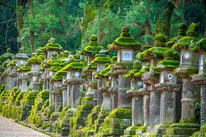 Arashiyama & Nara Highlights: One-Day Private Tour Adventure - Final Thoughts on Value and Experience