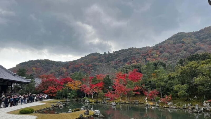 Arashiyama/Tenryu-ji Temple Guided Tour - Key Points