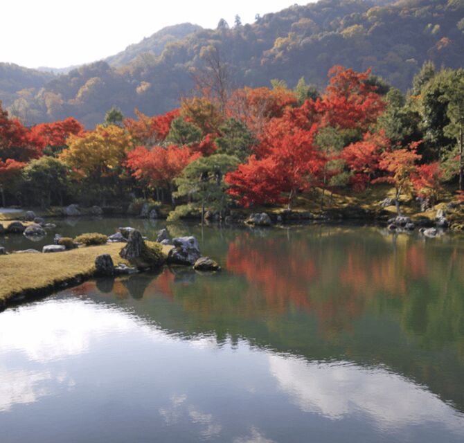 Arashiyama/Tenryu-ji Temple Guided Tour - An In-Depth Look at the Tour Experience