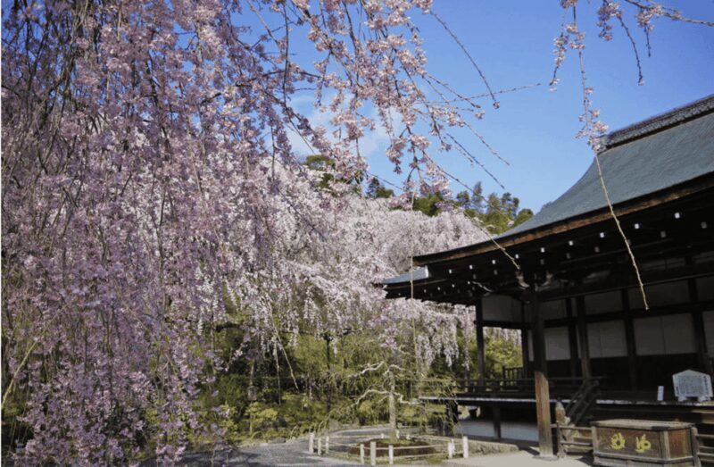 Arashiyama/Tenryu-ji Temple Guided Tour - Frequently Asked Questions