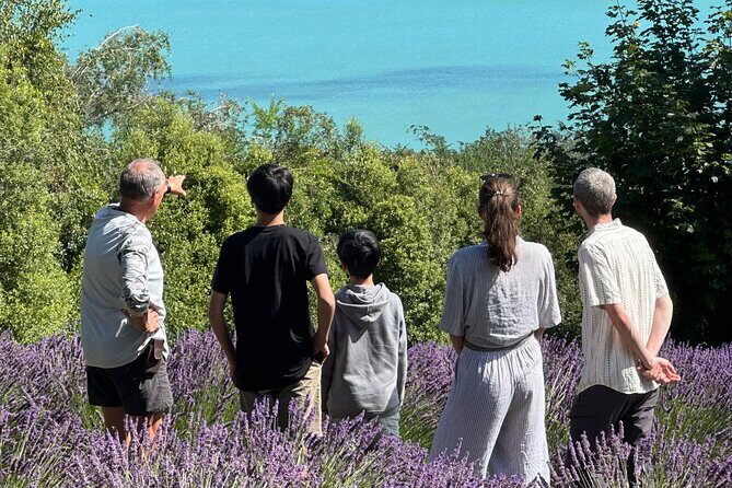 Arataki Conservation - our Journey to Protect our Whenua (land) - A Practical Look at Arataki Conservation - Our Journey to Protect Our Whenua