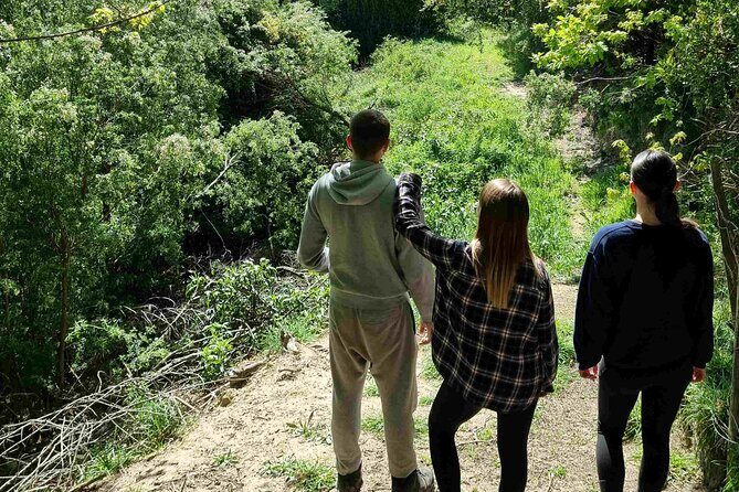 Arataki Conservation - our Journey to Protect our Whenua (land) - Analyzing the Value