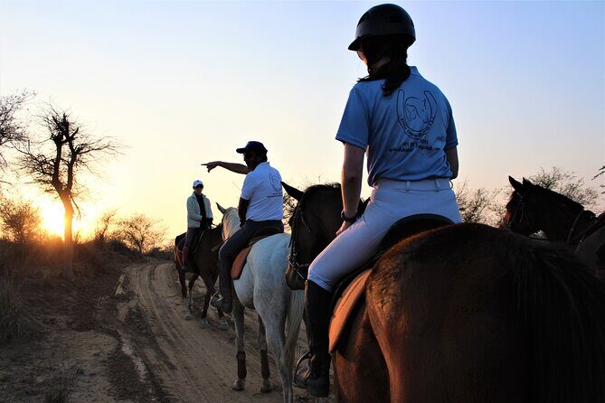 Aravali Trail Experience( Jungle Safari Forest area)- Horseback Riding - An Authentic Ride in the Heart of Haryana’s Landscape