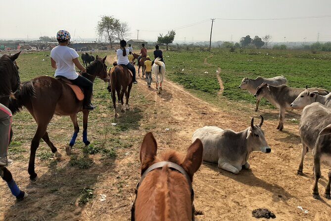 Aravali Trail Experience( Jungle Safari Forest area)- Horseback Riding - What the Tour Includes and What to Expect