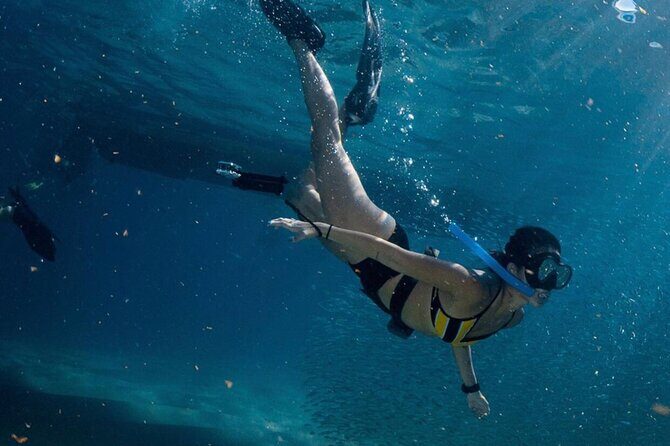 Arch Boat Tour and Snorkeling at Pelican Rock - Who Will Love This Tour?