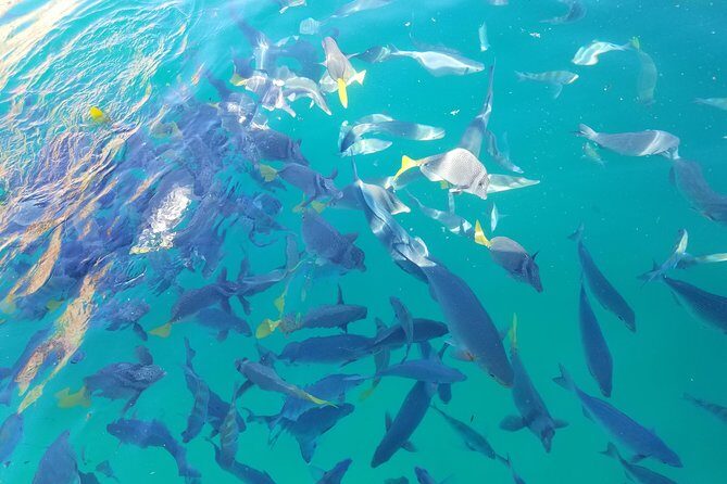 Arch Tour with Amazing Captain in Cabo San Lucas - What to Expect from Your Cabo Water Adventure
