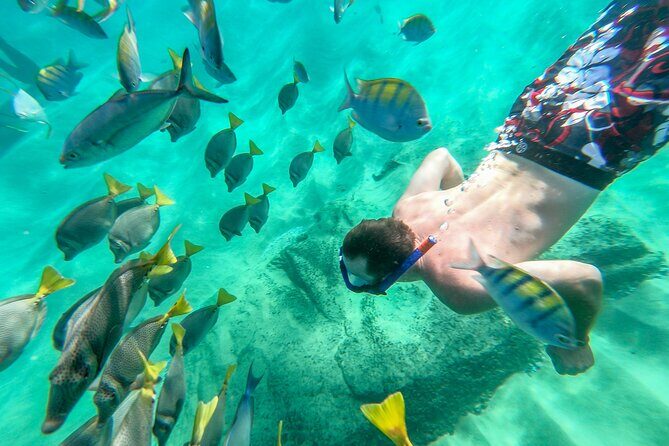 Arch Views & Snorkeling Paradise at Chileno Beach - FAQ