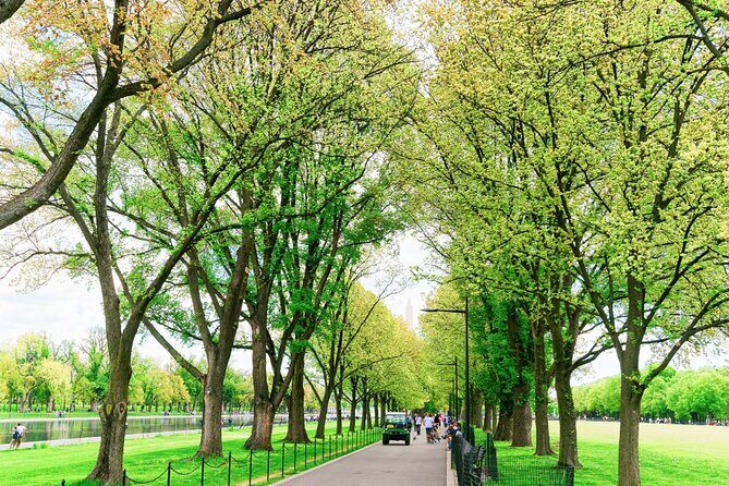 Architecture of Washington's National Mall Audio Guide - Who Should Consider This Tour?
