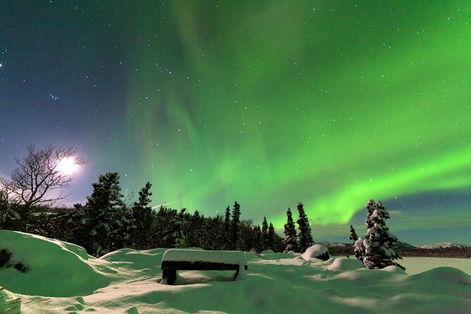 Arctic Circle and Northern Lights Tour from Fairbanks - Who Should Consider This Tour?