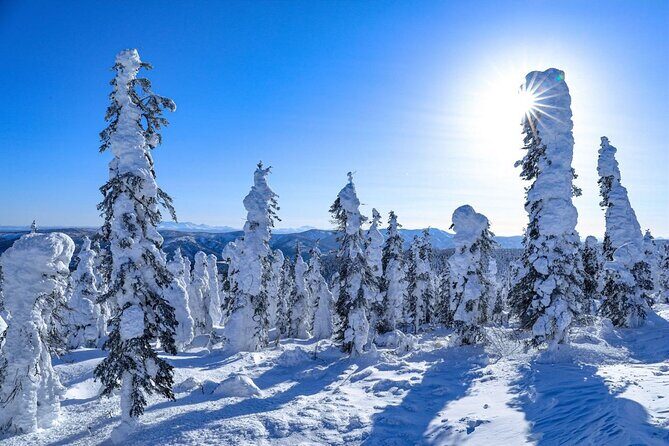 Arctic Circle Day Tour Adventure - FAQ