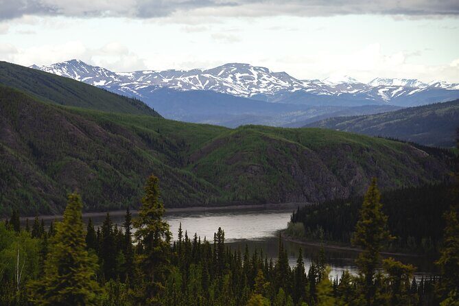 Arctic Circle Day Trip from Fairbanks with Transportation - An Overview of the Experience