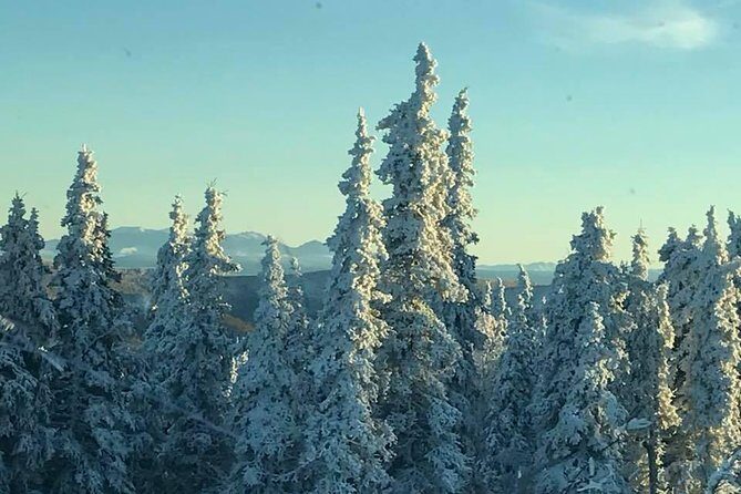Arctic Circle Day Trip from Fairbanks with Transportation - Who’s This Tour Best For?