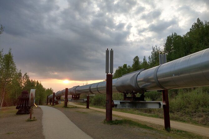 Arctic Circle Full-Day Adventure from Fairbanks - Starting Point and Logistics