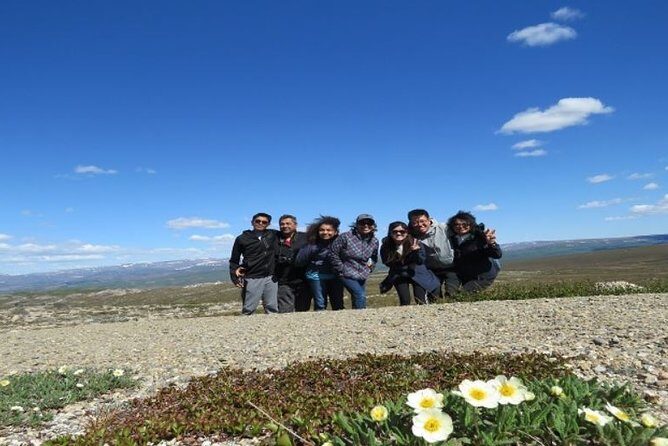 Arctic Circle Full-Day Adventure from Fairbanks - Finger Mountain Hike