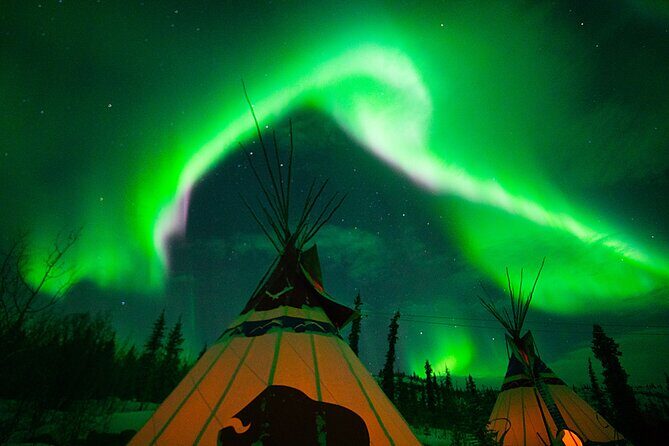 Arctic Day: Aurora Viewing Tour | late night - The Sum Up