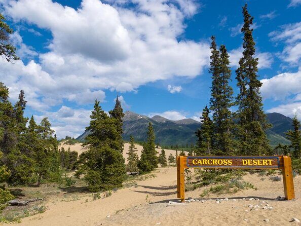 Arctic Day: Carcross & Southern Lakes Hiking Tour | full day - Key Points