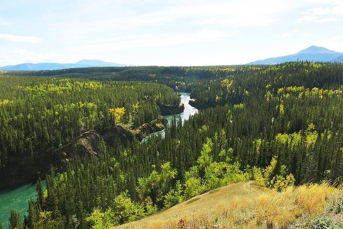 Arctic Day: Hiking Tour | half day - The Sum Up