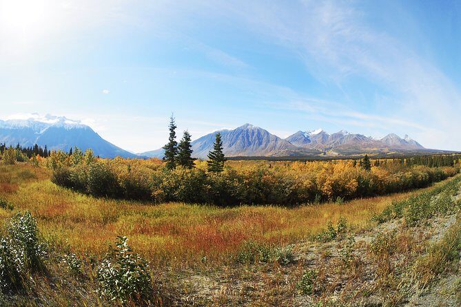 Arctic Day: Kluane National Park Tour | full day - Key Points