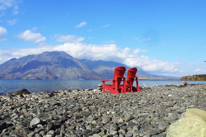 Arctic Day: Kluane National Park Tour | full day - The Practicalities: Transportation and Comfort