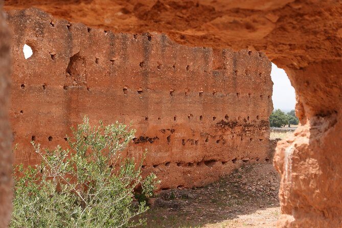 Argan Forest, tea time at a Berbers family & Visit of an Argan cooperative. - Final Thoughts