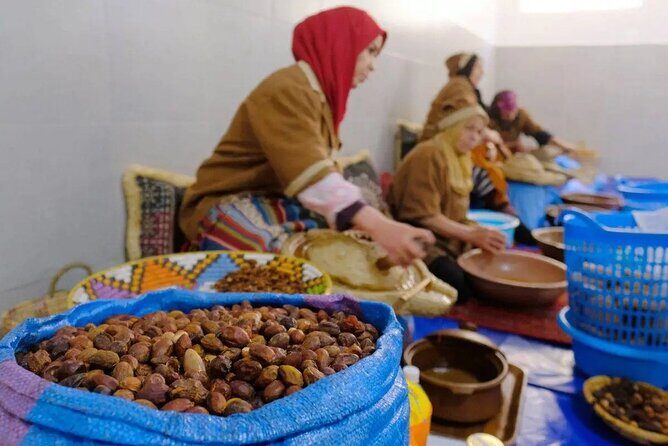 Argan Tree-Climbing Goats Morning Tour From Agadir - Transportation & Timing: Why It Matters