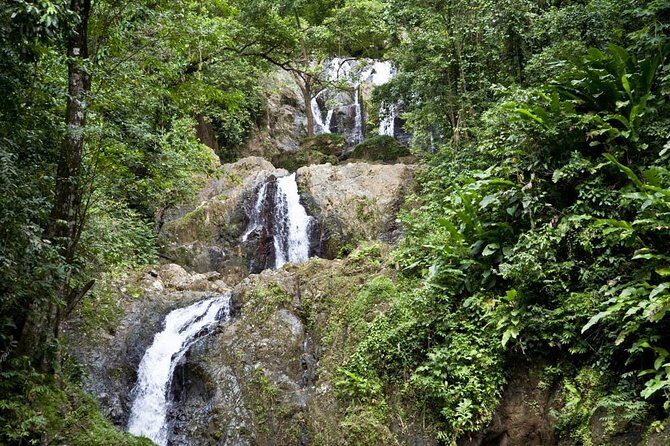 Argyle Waterfall with Adventure Farm - Exploring Tobago’s Natural Gems: The Argyle Waterfall with Adventure Farm Tour