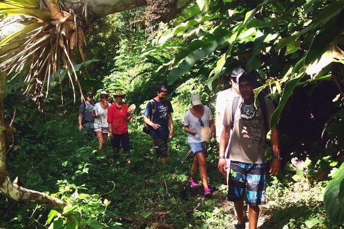 Argyle Waterfall with Adventure Farm - The Sum Up: Who Will Get the Most Out of This Tour?