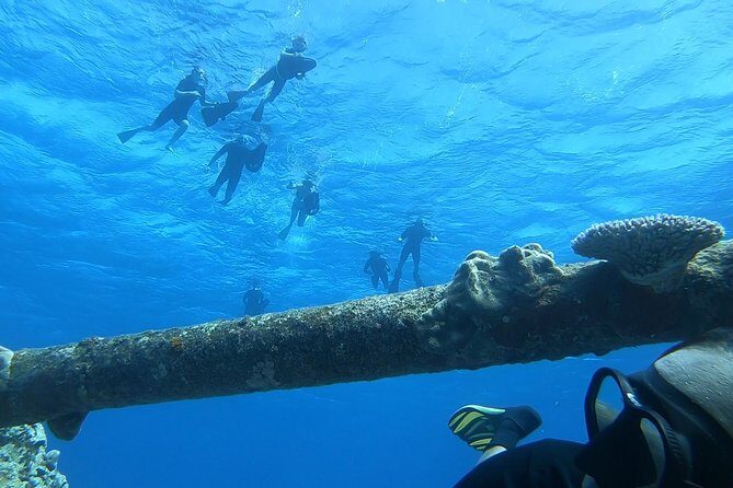 Ariki Adventures: Premium Sea Scooter Shipwreck Adventure - An In-Depth Look at the Rarotonga Sea Scooter Adventure