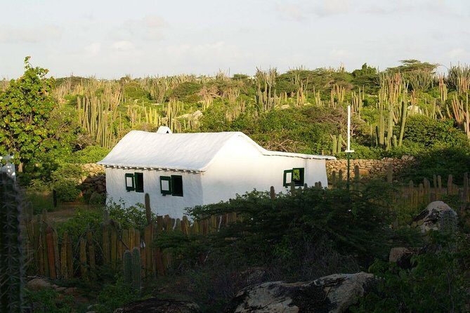 Arikok Adventurous Hiking Experience in Aruba - The Experience’s Strengths
