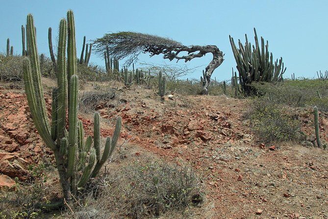 Arikok Adventurous Hiking Experience in Aruba - The Experience’s Challenges