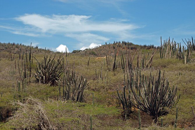 Arikok Adventurous Hiking Experience in Aruba - FAQs