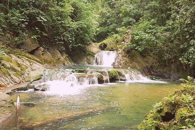 Aripo Waterfall Adventure - Introduction