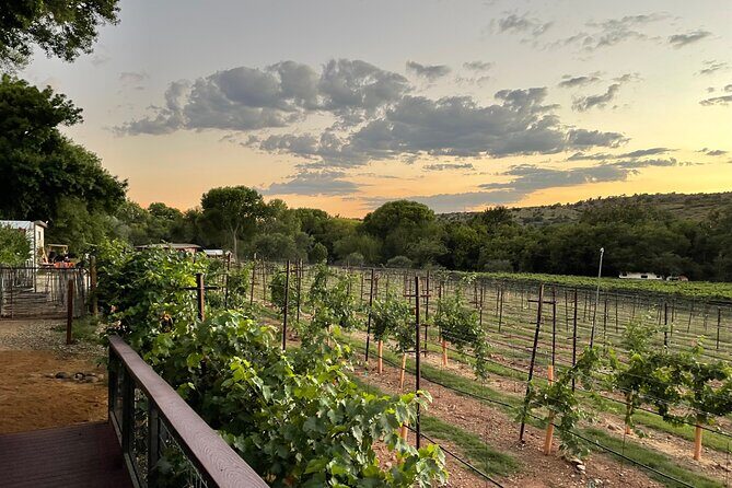 Arizona Winery All-Inclusive Tour with Lunch & Tastings - The Basic Details: What’s Included and What to Expect