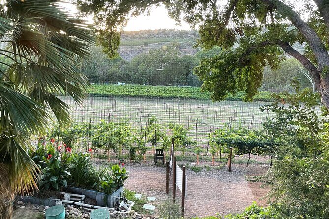 Arizona Winery All-Inclusive Tour with Lunch & Tastings - Transportation and Group Size: Making the Journey Comfortable