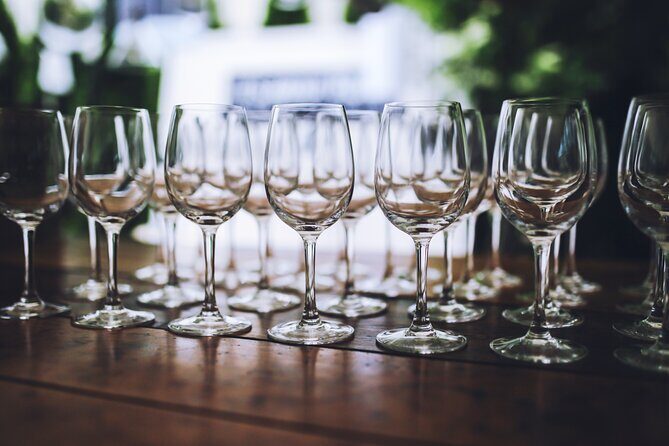 Arizona Winery All-Inclusive Tour with Lunch & Tastings - Final Thoughts: Who Is This Tour Best For?