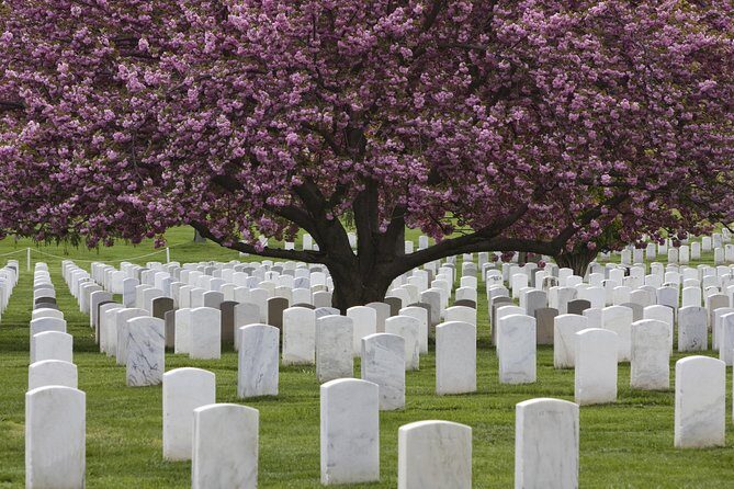 Arlington National Cemetery Hop-On Hop-Off Tour - Real Opinions from Visitors