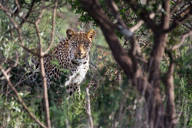Around Gaborone Adventure - The Experience From Start to Finish