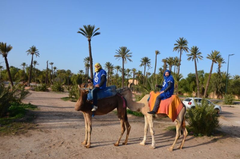 Around Marrakech: Camel Ride in Palm Groves including Tea - What Travelers Love