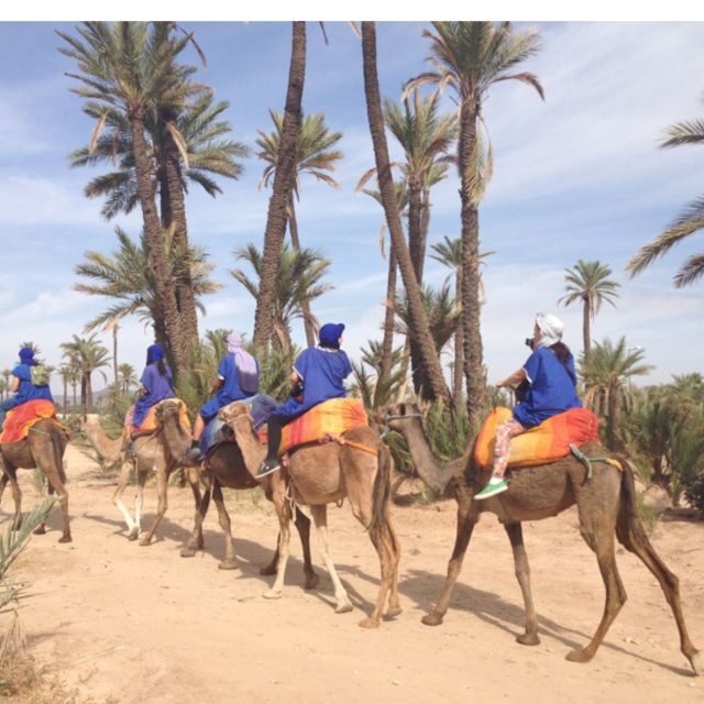 Around Marrakech: Camel Ride in Palm Groves including Tea - FAQ