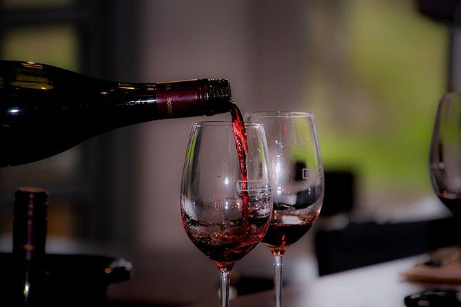 Around the Bay Food and Wine Taste Trail - Who Should Consider This Tour?