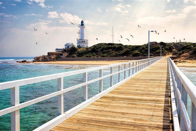 Around the Bay Sightseeing and Bay Cruise - What Travelers Say About the Tour