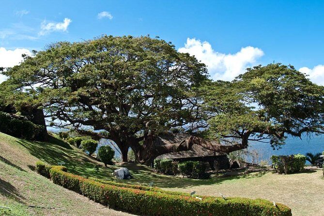 Around the Island - Key Points