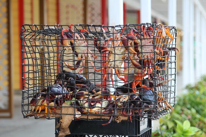 Around Town/Bahamian Cooking Experience - An In-Depth Look at the Freeport Tour Experience