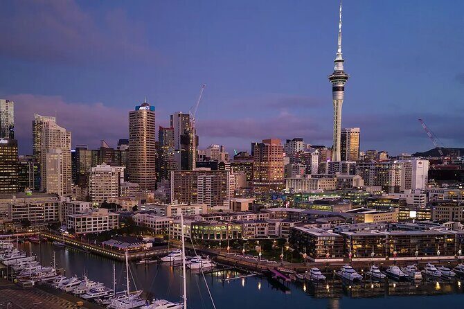 Arrival Private Transfer: Auckland Airport AKL to Auckland City - Who Should Consider This Transfer?