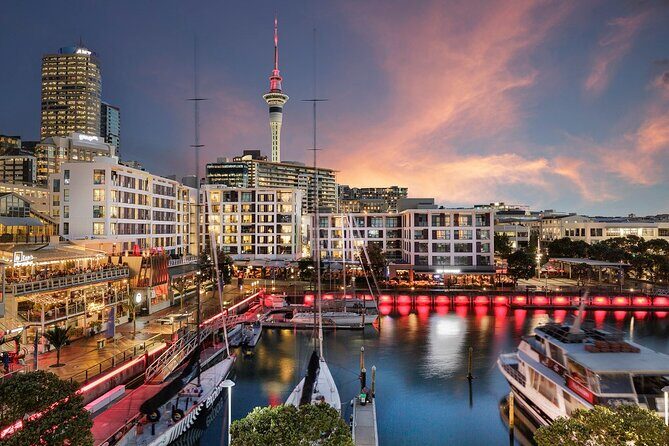Arrival Private Transfer from Auckland Airport AKL to Auckland in Business Car - Key Points