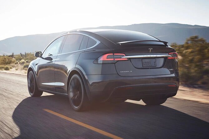 Arrival Private Transfer from Las Vegas Airport to Las Vegas by electric vehicle - Who will benefit most from this service?