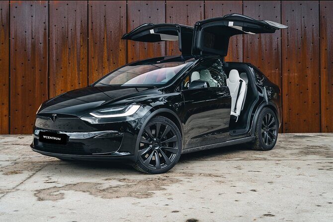Arrival Private Transfer from Las Vegas Airport to Las Vegas by electric vehicle - What do travelers say?